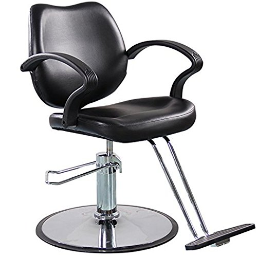 Danyel Beauty Salon Chair Heavy Duty Hydraulic Beauty Styling Salon Chair Barber Chair Black