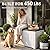 YITAHOME 120 Gallon Large Deck Box, Resin Outdoor Storage Box w/Lockable Black Lid for Outdoor Pillows, Garden Tools and Pool Supplies, Waterproof, Lockable, Grayish-White