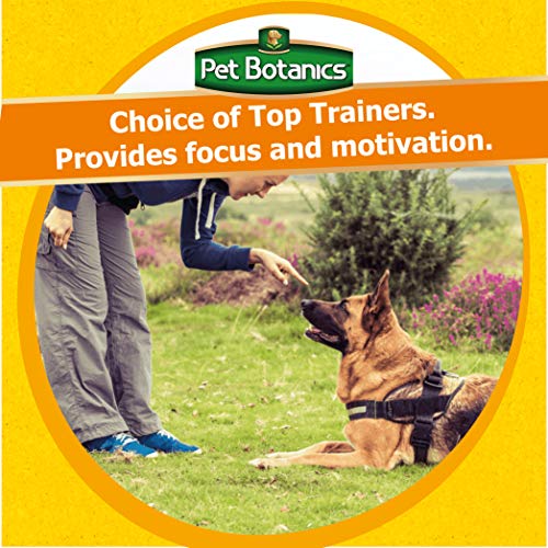 Pet Botanics Training Rewards Treats for Dogs, Made with Real Pork