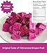KAMVIVA Vietnam's Freeze Dried Dragon Fruit, 227g/8.0 Oz, 100% Natural, Red Pitaya Dry Pieces, Dragonfruit Cubes, No Sugar Added, Non GMO, Gluten Free, Great for Snack, Drinks, Cereal, Yogurts, Chips