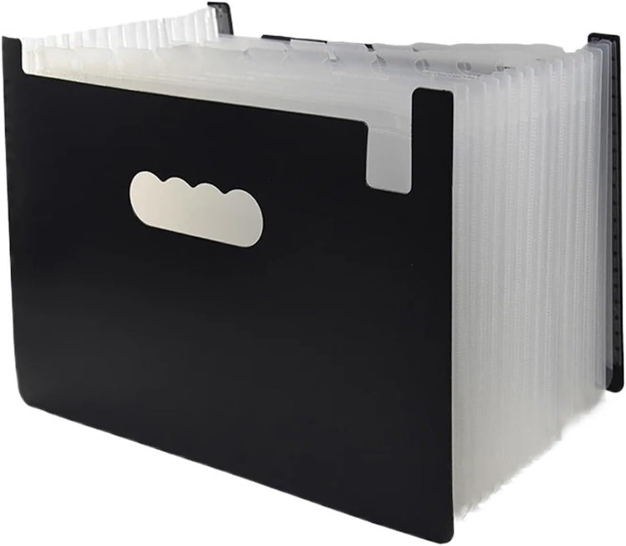 1 organiseur de documents A4