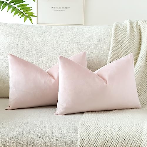 JOTOM Lot de 2 Housses de Coussins en Velours Décoratif Canapé Taie d'oreiller Doux Decoration pour Maison Salon Chambre Canapé Décoration 30x50cm (Bébé...