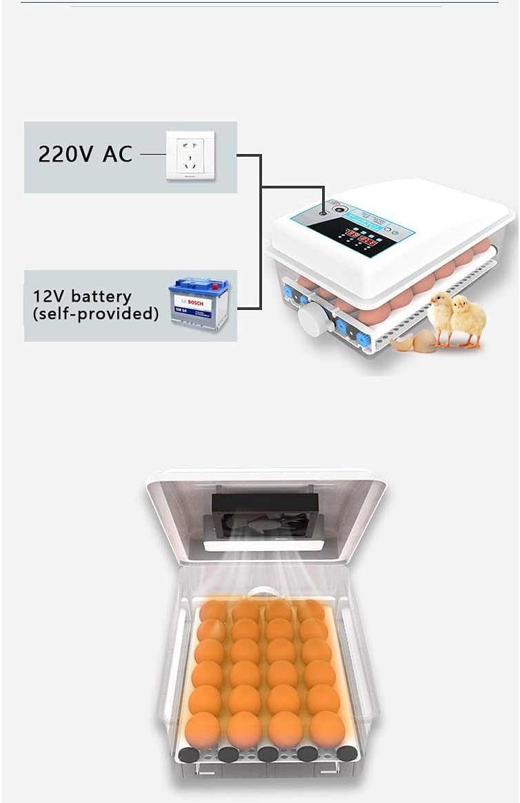 Incubadora Incubadora de huevos de 24 compartimentos Incubadora digital de huevos Temperatura Ama de casa Mini Incubadora automática de pollos Patos Gansos Aves Incubadora automática de huevos(Single