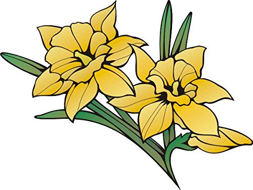 INDIGOS UG - Wandtattoo Wohnzimmer - Wandaufkleber Kinderzimmer bunt farbig MD453 schöne Blumen 120 x 106 cm