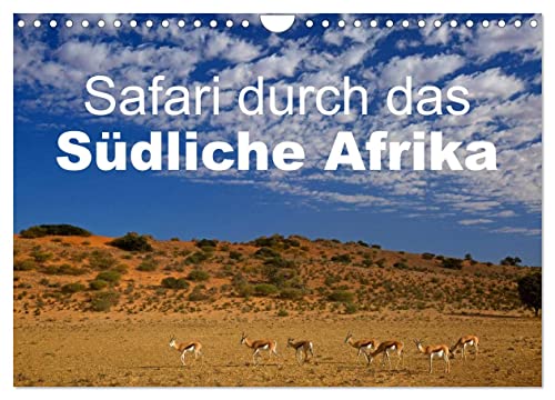 Safari en Afrique australe, Version française (Calendrier mural 2026 DIN