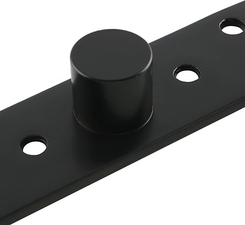 Miniatura 6 de Alise Bisagra giratoria de 4 pulgadas de longitud, bisagra de pivote de puerta de 360 grados, bisagras de eje inferior, acero inoxidable, acabado