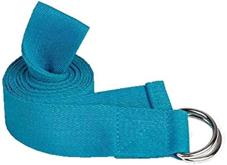 Gadget Deals- yoga belt | yoga belt stretching | yoga belt for women - Yoga Wheel For Stretching - Yoga Accessories for Women & Men- Yoga Equipment for Home (B0CVRPV78X) Amazon Price History, Amazon Price Tracker