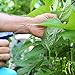 Vegetable Gardening: Smart Techniques for Plentiful Results