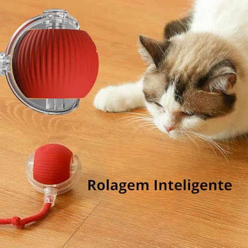 Bolinha Gato Inteligente Automática Brinquedo Interativo Pet