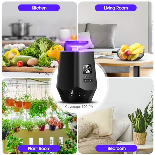 Image of Fruit Fly Traps for Indoors, Smart Fly Trap Indoor Bug Zapper Gnat Traps for House Indoor with Temperature and Humidity Sensor, 10PCS Sticky Boards Black 03