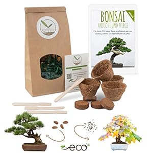 Bonsai Starter Kit vermeerderingsset incl. GRATIS eBook – plantenset van kokosnootpotten, zaden & grond – duurzaam…