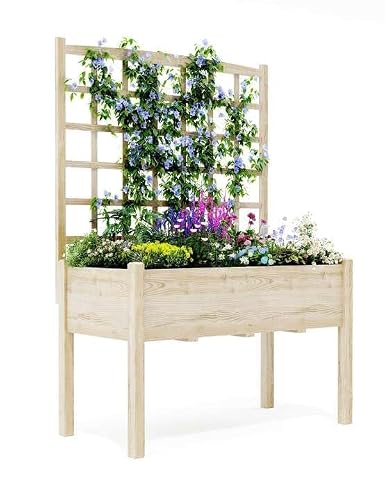 Garvee Wooden Raised Garden Bed With Trellis