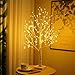 Albero Luminoso da Interno con 144 LED Bianchi Caldi, USB Albero di Betulla con Luci Regolabile Albero di Natale LED Batteria Albero Luminoso per Decorazione Interna Della Festa Natale (Betulla)