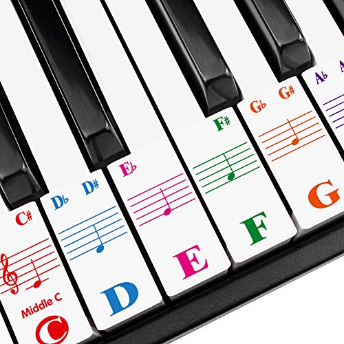 Piano Keyboard Stickers for 88/61/54/49/37 Key. Colorful Large Bold Letter Piano Stickers. Perfect for kids Learning Piano. Multi-Color,Transparent,Removable