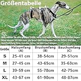 Paworld Sicherheitsgeschirr Hund, Anti Zug Hundegeschirr, Panikgeschirr für Hunde, Ausbruchsicheres Geschirr Hund, Verstellbare, Atmungsaktiv Weste für kleine, mittelgroße und große Hunde (Schwarz,XL)