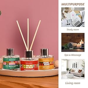 Folkulture chrismas reed diffuser set of 3 with sticks for home 51 fl oz essential oil diffuser with reed sticks organic reed diffuser apple tart peppermint candy lavender christmas magic  urban country home decor