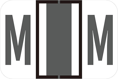 240 etiquetas para carpetas de archivos, 1 x 1-12 pulgadas, etiquetas rectangulares del alfabeto, autoadhesivas, compatibles con Smead BCCRBCCSTPAM