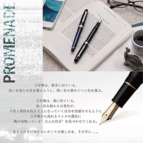 Sailor Pen Fountain Pen Promenade In Fine 11-1031-340 Shining Blue #TOP3
