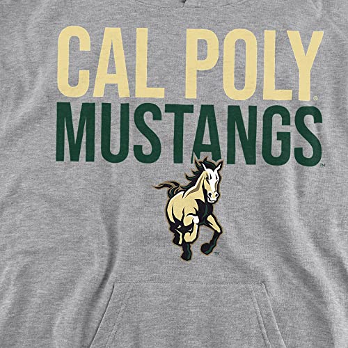 California Polytechnic State University Official Stacked Youth Kids Boy/Girls Pull-Over Hoodie Sweatshirt2