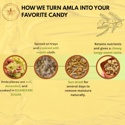 Image of Earthen Story Organic Amla Candy Chatpata 400g (2 x 200g) | Dry Gooseberry Rich in Vitamin C | Immunity Booster | Healthy Snack & Mouth Freshener | No Preservatives