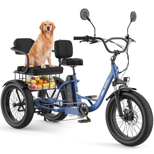 Vivi FAM01 Electric Tricycle