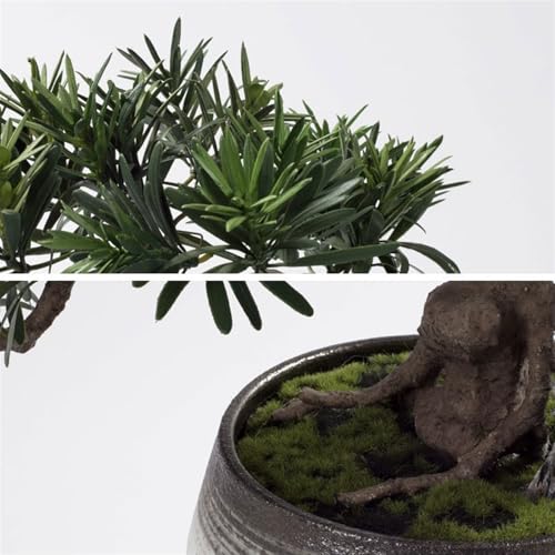 Plante de simulation bonsai pour embellir un hotel ou un bureau - 4