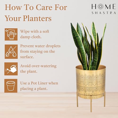 Image of Raaga Gold Metal Planters with Stand | Pack of 1| Planter - 10 Inch (Height) 7 inch (Diameter) | Planters for Living Room, Bedroom Decor (Pack of 1)