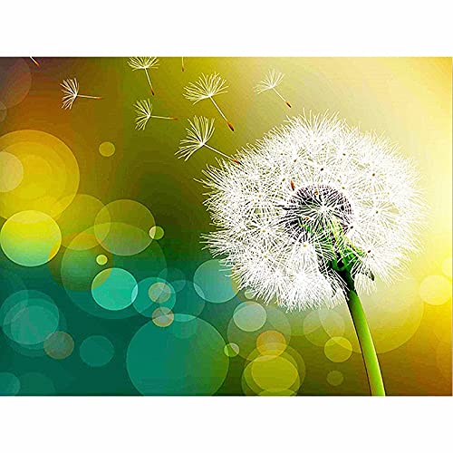 Peinture diamant pissenlit anti-stress toile adhésive kit complet 5D