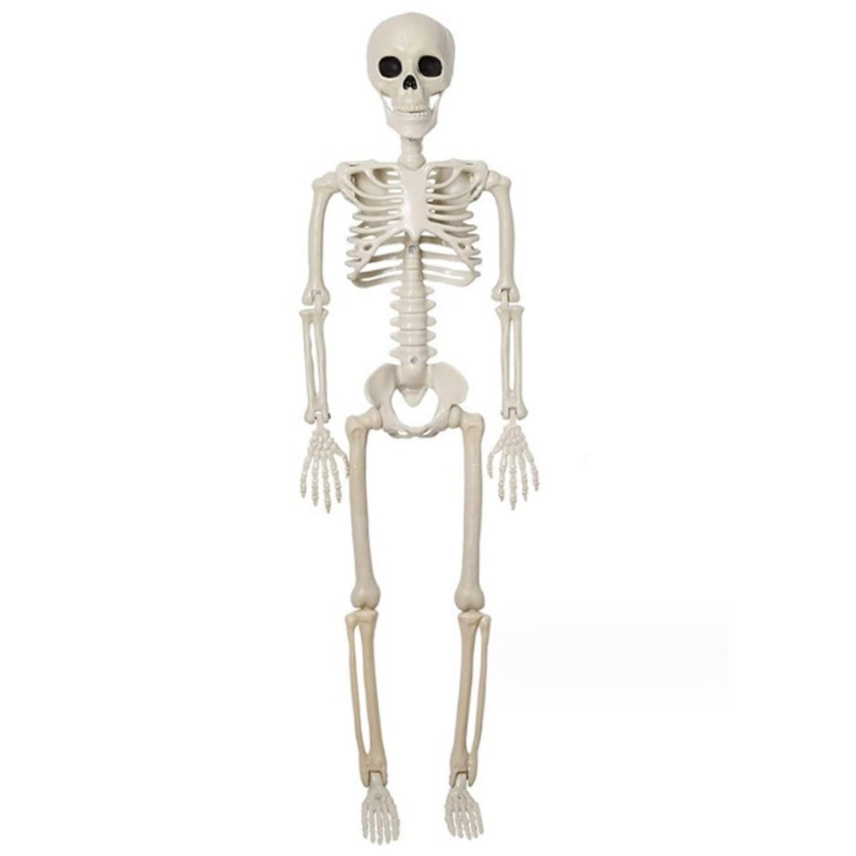 Pesoncarl Halloween Skeleton 16'' Small Skeleton Realistic Plastic with Movable Joints Full Body Decor for Haunted House Props Halloween Decorations, Creepy