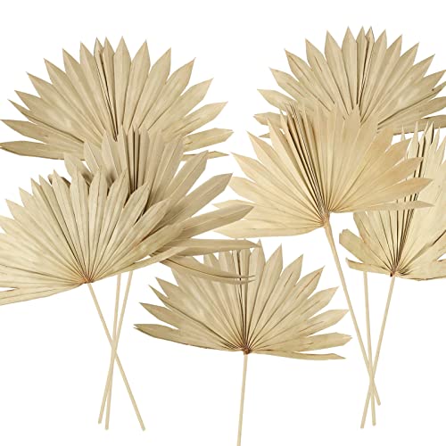 Chenkaiyang 10 Pieces Large Dried Palm Leaves Decor Sun Palm Natural Dried Palm Fans Dried Palm Spears Gold Palm Leaf Dried Plants for Boho Wedding Bouquets Home Leaf Party Decorations( 10 Pieces )