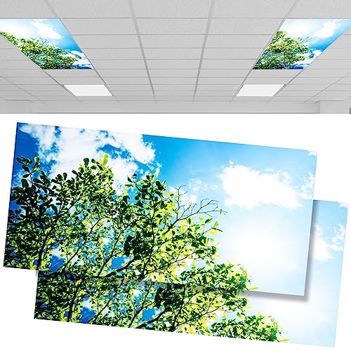 Amylove 2 Pack Fluorescent Light Covers, 4 x 2 Feet Lightweight Plastic Sky Covers for Ceiling Light, Durable, Reusable, Reduce Glare, Filters by Amylove - Used condition - US$21.84