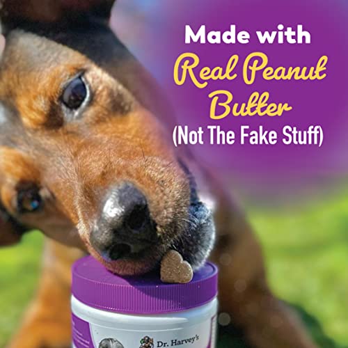 Dr. Harvey's Digestive Probiotic Soft Chews For Dogs, 7 Probiotics For Gut Health, Diarrhea And Bowel Support, Peanut Butter Flavor (90 Chews) #TOP4