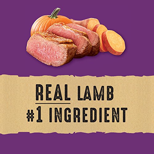 Nature's Recipe Adult Grain Free Natural Dry Dog Food Lamb, Sweet Potato & Pumpkin Recipe 10.8 kg (Pack of 1) image 1
