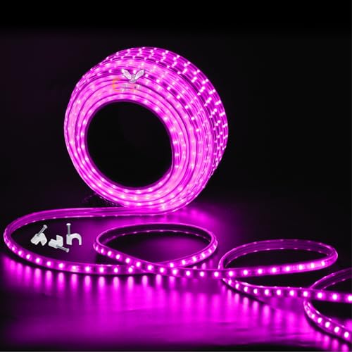 Errol LED Strip Rope Light for Indoor,Outdoor,Decorative,Diwali,Christmas,Festival,Cove,False Ceiling,Balcony,Entrance,Pillar with Direct Plug-in Adapter.(10 Meter, Pink)