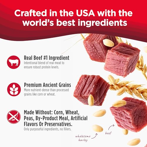 Image of Nulo Frontrunner Dry Dog Food - Adult High-Protein Beef, Barley & Lamb Recipe, Natural Kibble with Ancient Grains, Probiotics, Taurine, Omega 3 for Small, Medium and Large Breeds, 5lb Bag