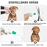 Nepfaivy Leuchthalsband Hund USB Aufladbar - Wasserdichtes Hundehalsband Leuchtend mit 3 Beleuchtungsmodi, Längenverstellbareres LED Halsband für Kleine, Mittlere und Große Hunde (Blau)