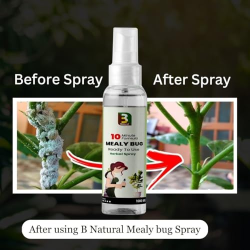 Image of B Natural Herbal Mealy Bug Spray For Plants & Garden 100ml| 10 Minutes Result Guaranty|Removes Entire Mealy Bug Infestation|Powerful 100% Organic MealyBug Repellent Spray For Indoor & Outdoor Plants