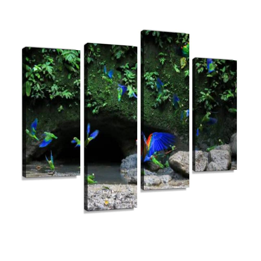 HIPOLOTUS 4 Panel Canvas Pictures Macaw Visits the Parrot Clay Lick Ecuador Amazon Wall Art Prints Paintings Stretched & Framed Poster Home Living Room Decoration Ready to Hang