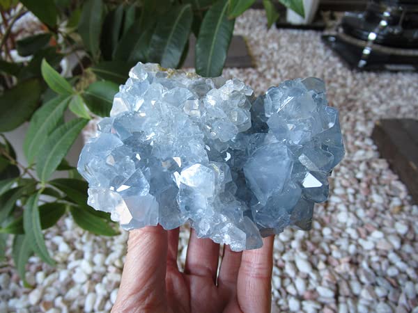 Amazon.co.jp: セレスタイト 原石 クラスター 販売 | 天然石専門店【鬮