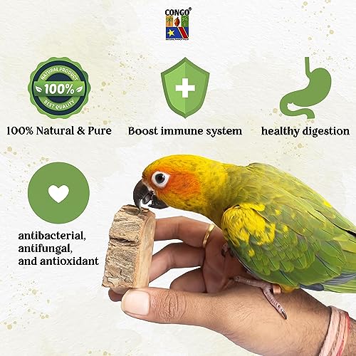 Congo-Essential-Natural-Super-Nutritious-Chewing-Wood-Toy-for-Conure-Senegal-African-Grey-Amazon-and-Other-Birds-Food-8-pcs