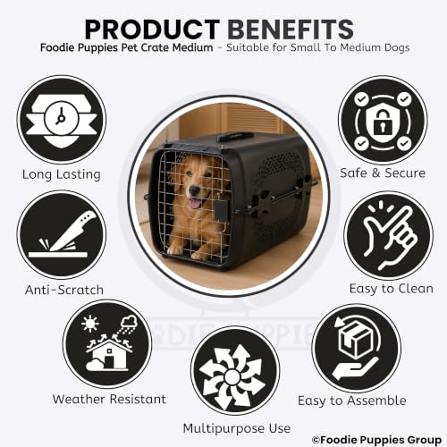 Image of Foodie Puppies Imported Plastic Pet Travel Carrier Cage (58 x 37 x 37 cm, Medium) for Small to Medium Dogs, Cats, Puppies & Small Animals | Portable Transporter Box with Metal Door & Spring Lock