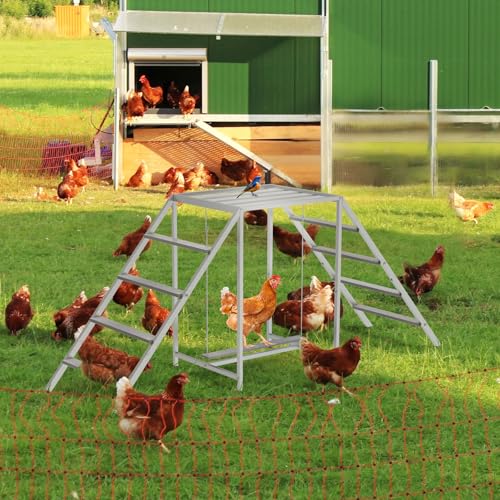 Poleiro de galinha para galinheiro com conjunto de balanço, brinquedos de frango para a saúde e feli