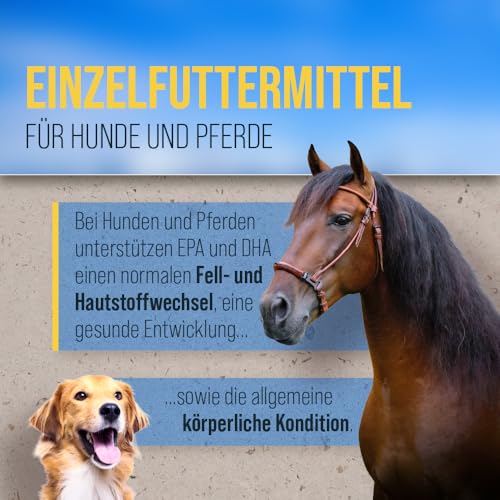 Premium Lachsöl für Hunde & Pferde| Omega 3-6-9 | Atlantischer Lachs aus Norwegen | 1 Liter | Sanct Bernhard tierlieb