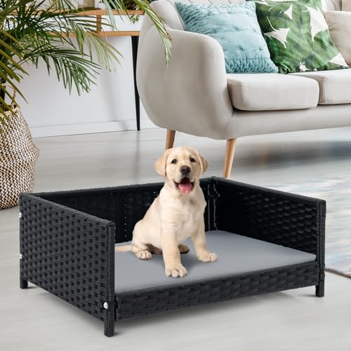 COSTWAY Hundebett aus PE-Rattan, Haustierbett mit abnehmbarem Kissen & waschbarem Bezug, Metallrahmen, erhöhtes Hundesofa für kleine/mittelgroße Hunde, Hundecouch für drinnen draußen, 62x46x25cm