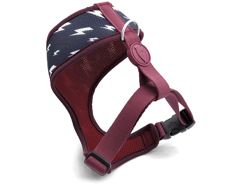 MORSOBreathable Air Mesh Harness for Small and Medium Dogs, Blue and Bordeaux, Medium