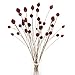 HUAESIN 30 Tiges Fleurs Séchées Naturelles Fleurs de Craspedia Séchées Billy Button Balles Bouquet Floral pour Mariage Noël Hiver Maison Décoration Florale Décoration