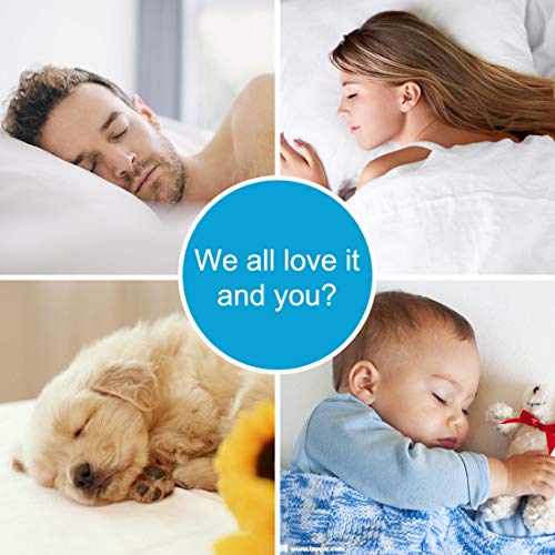 Easeland Queen Size Mattress Topper Pillow Top Mattress Cover Quilted Fitted Mattress Protector Cotton Top 8-21" Deep Pocket Extra Thick Mattress Pad (60X80 Inches, White) #TOP5