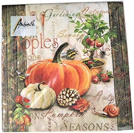 20-ct 13x13 Orange Pumpkin Napkins Fall Napkins Thanksgiving Napkins Fall Paper Napkins Fall Cocktail Napkins Decorative Paper Napkins Thanksgiving Paper Napkins Autumn Paper Napkins Gardening