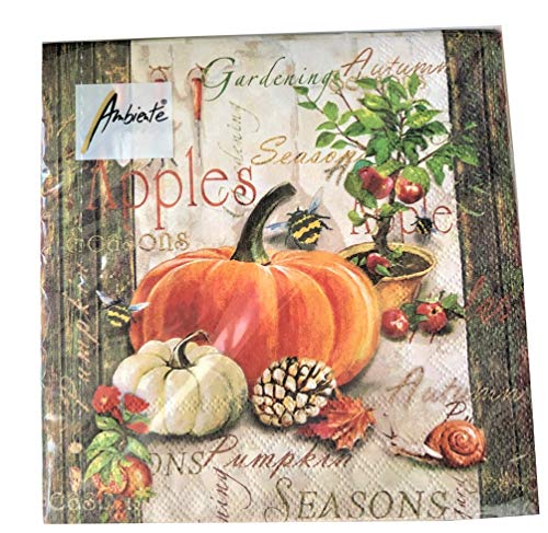 20-Ct 13X13 Orange Pumpkin Napkins Fall Napkins Thanksgiving Napkins Fall Paper Napkins Fall Cocktail Napkins Decorative Paper Napkins Thanksgiving Paper Napkins Autumn Paper Napkins Gardening #TOP13