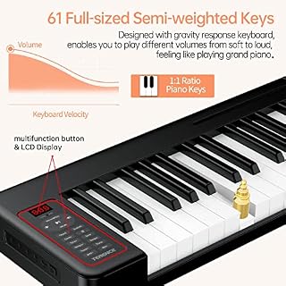 TERENCE Pliable Piano Numérique 61 Touches avec Batterie de 1750mAh semi-lestées interface MIDI avec support de… - Les Beatles, Paul McCartney, John Lennon, RIngo Starr, George Harrison TERENCE Pliable Piano Numérique 61 Touches avec Batterie de 1750mAh semi-lestées interface MIDI avec support de… – Image 6